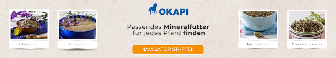 Finde das richtige Mineralfutter für dein Pferd